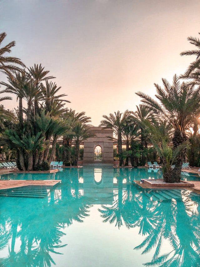 A pool surrounded by palm trees at sunset.