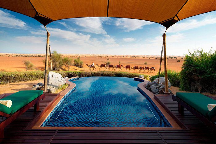 A swimming pool in the desert with camels in the background.
