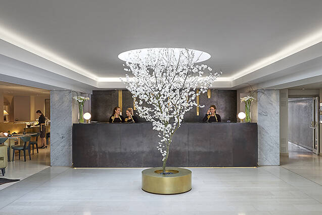 The lobby of a hotel with a large tree in the middle.