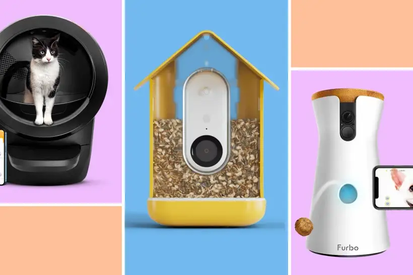 The best smart pet products for dogs and cats.